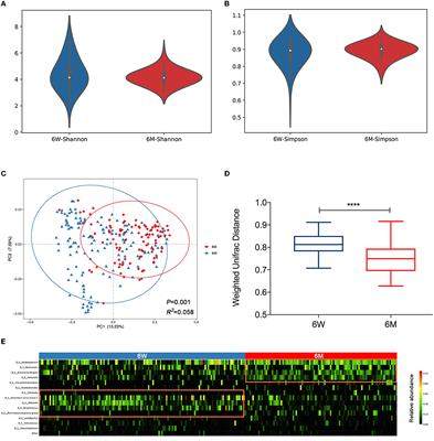 A health-promoting role of exclusive breastfeeding on infants through restoring delivery mode-induced gut microbiota perturbations